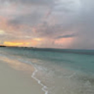 Meet your Posher, Annie